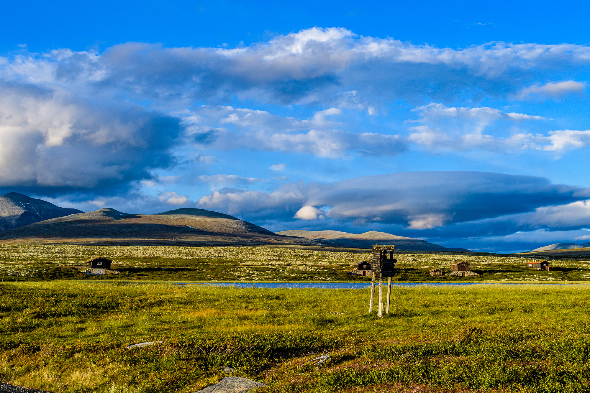 Indretjønne, Mysusæter. Nikon D5, Nikkor 50mm f/1.4 G, f/11, 1/1000, Auto ISO 2000.