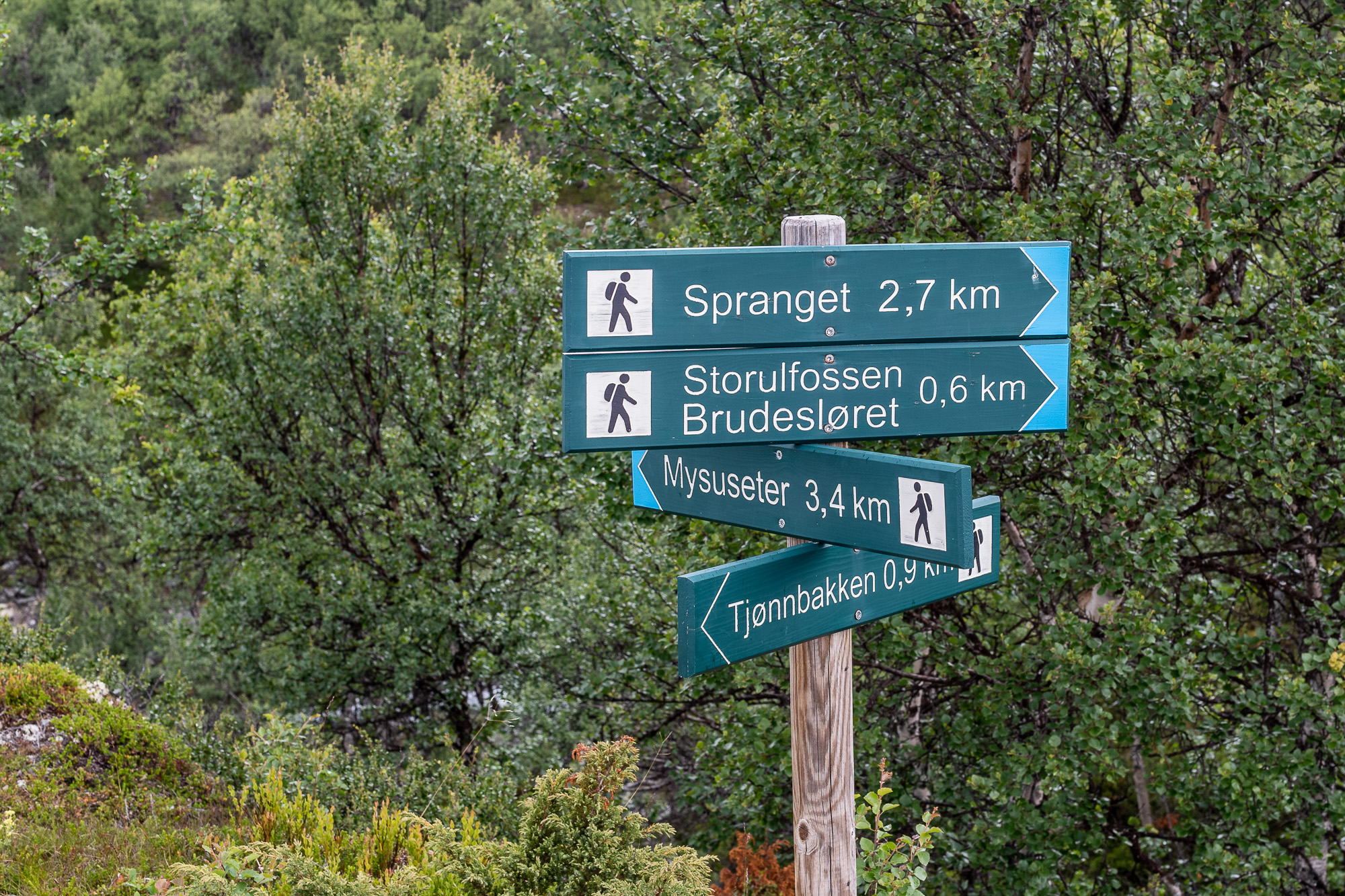 Signpost Storulfossen, Mysuæeter, Rondane, Norway.
