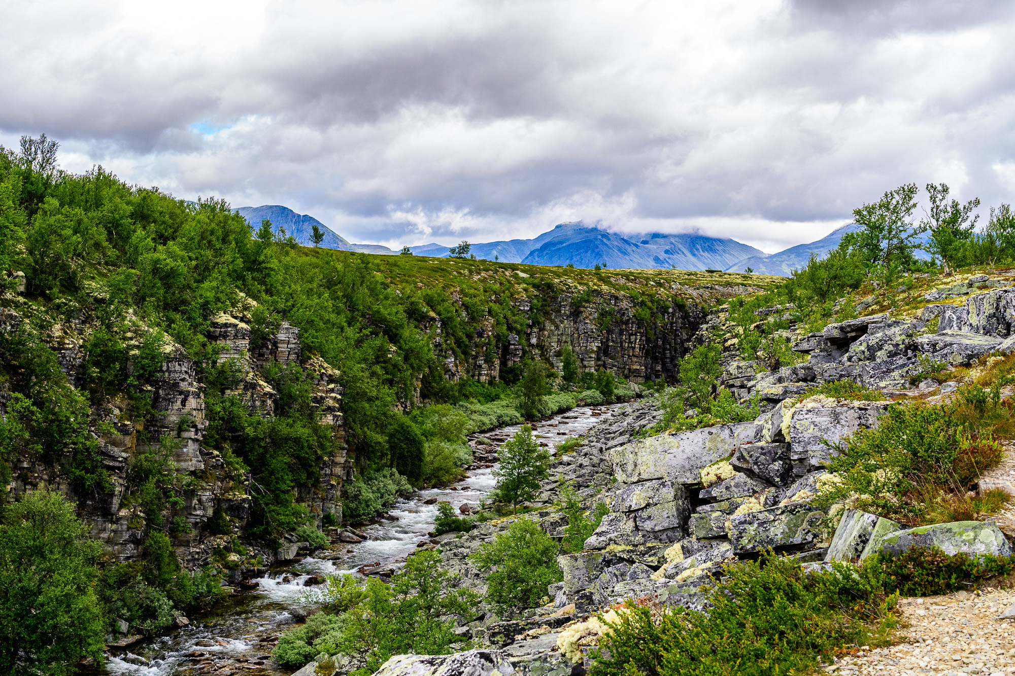 Storula Mysusæter, Rondane Norway. July 2022