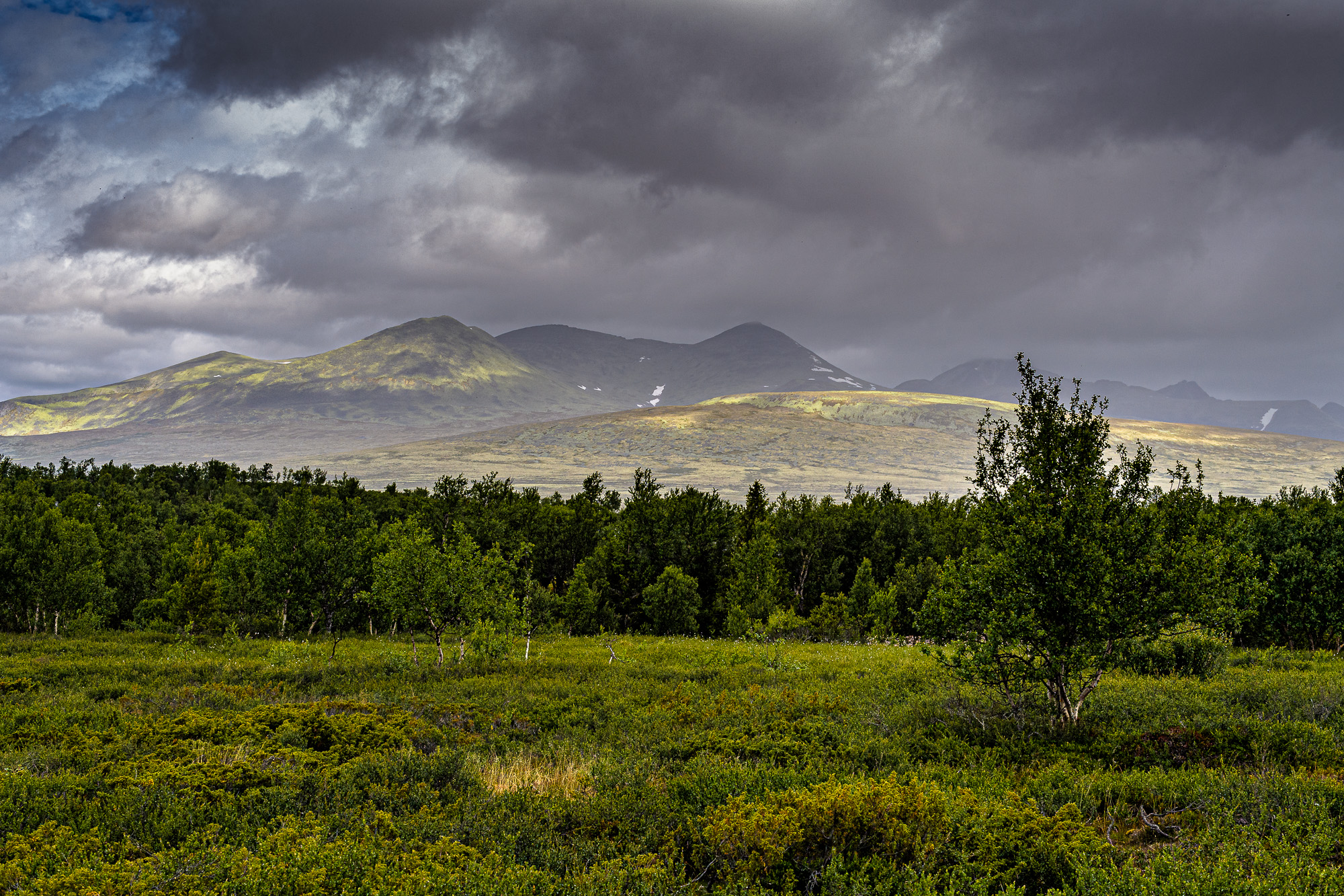 Landscape photo from Storulvegen, Mysuseter, Rondane, Norway